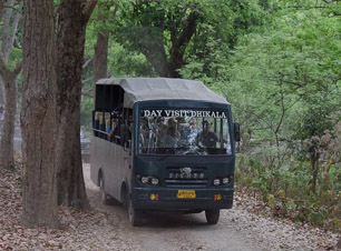 Cantar Safari Booking