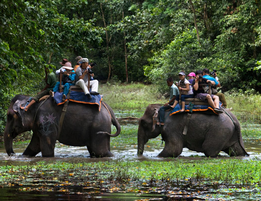 Elephant Safari in Jim Corbett