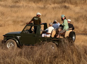 Corbett Fun Gypsy Safari